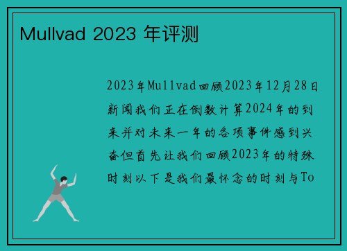 Mullvad 2023 年评测 