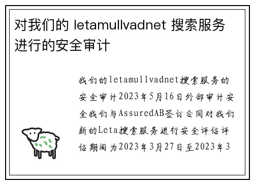 对我们的 letamullvadnet 搜索服务进行的安全审计 