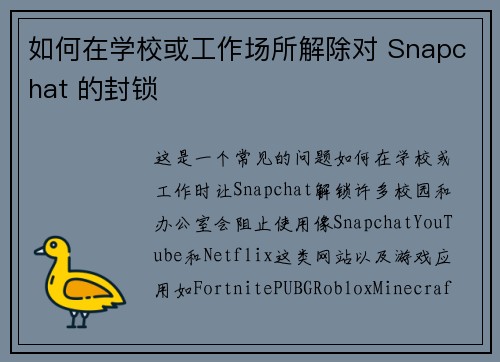 如何在学校或工作场所解除对 Snapchat 的封锁 